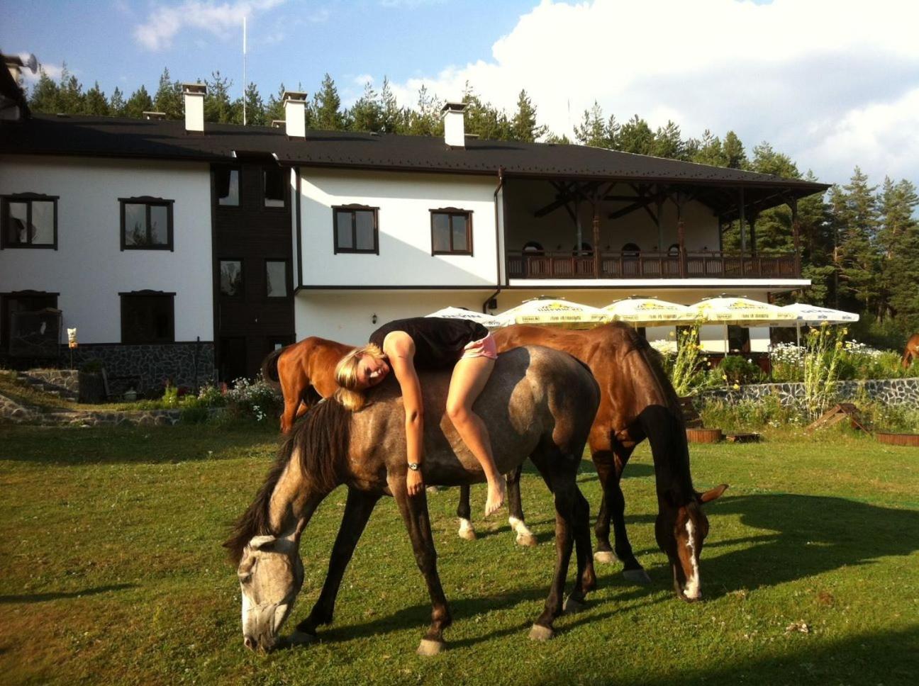 Rusaliite Adventure House Bachevo  Luaran gambar