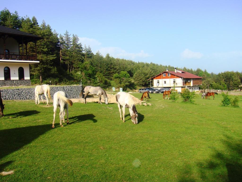 Rusaliite Adventure House Bachevo  Luaran gambar
