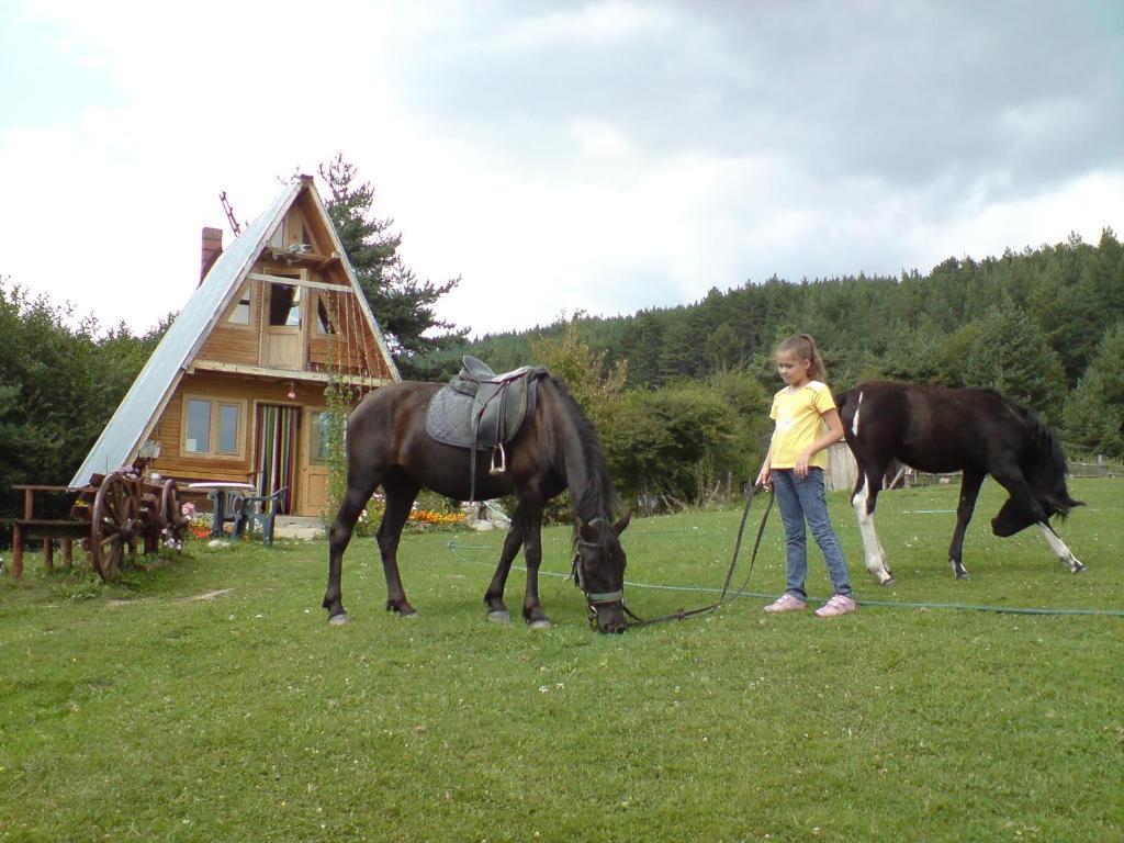 Rusaliite Adventure House Bachevo  Luaran gambar