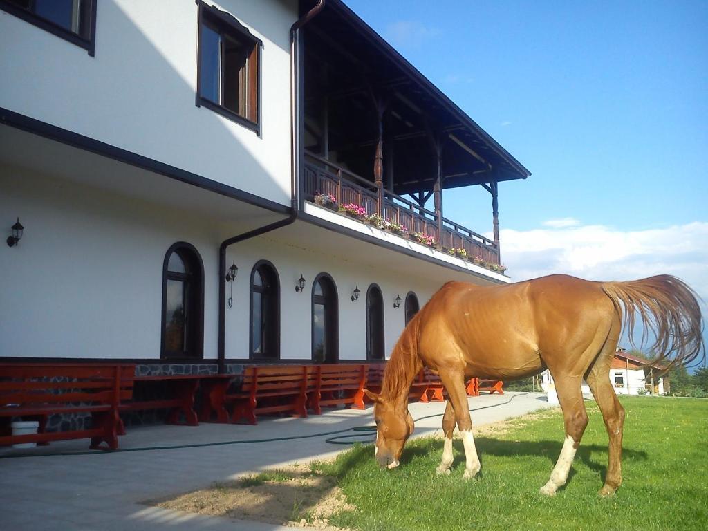 Rusaliite Adventure House Bachevo  Luaran gambar